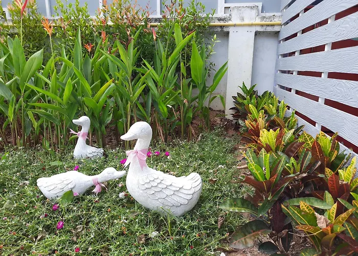 Fancy Carp Resort Hua-Hin
